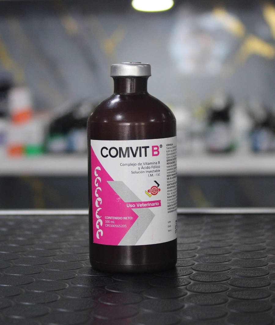 COMVIT B® – Complejo de Vitamina B + Ácido Fólico