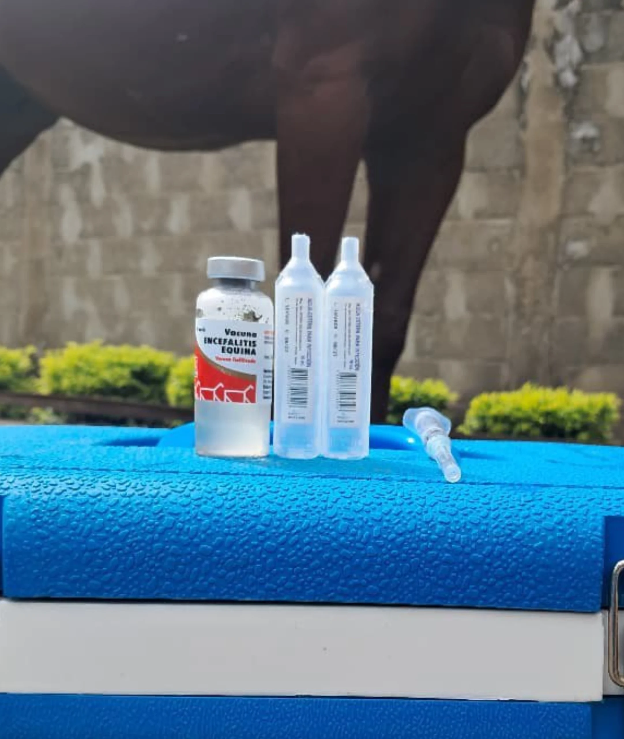 Vacuna Encefalitis Equina