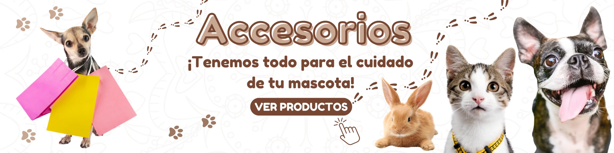 bn- accesorios