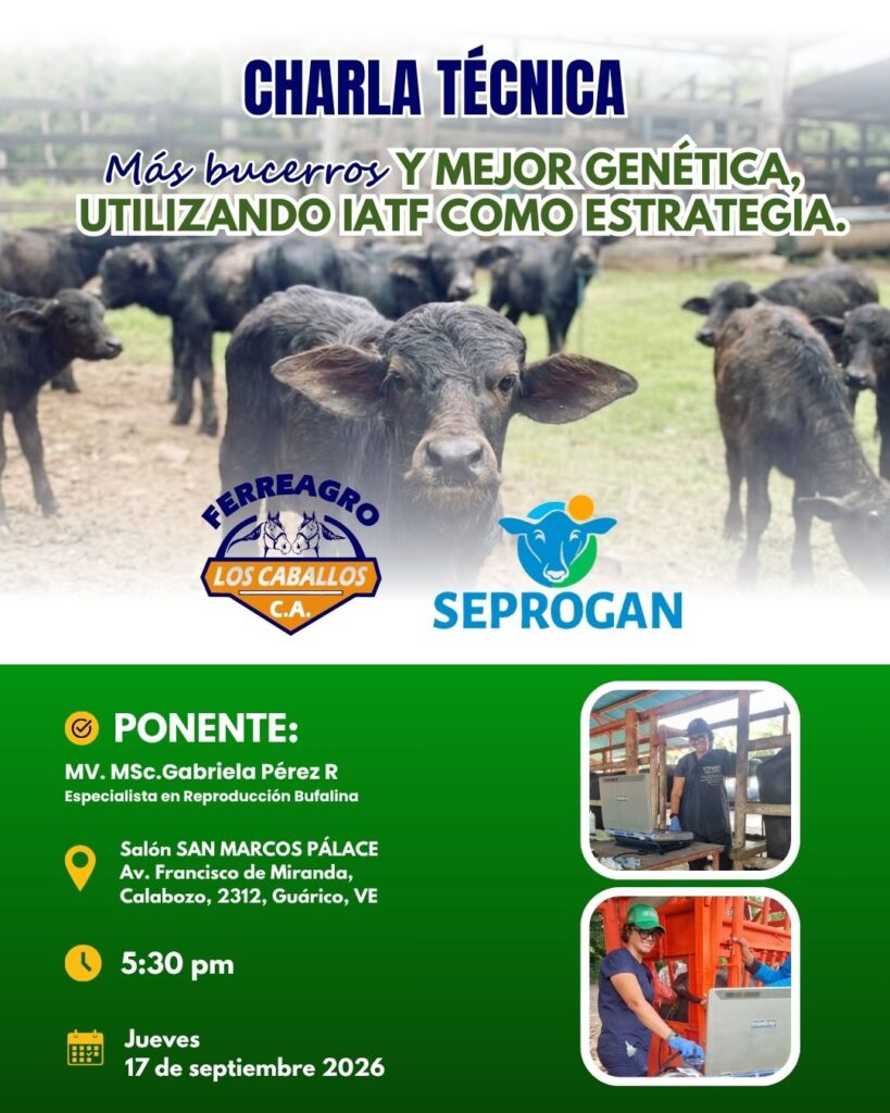charla Calabozo