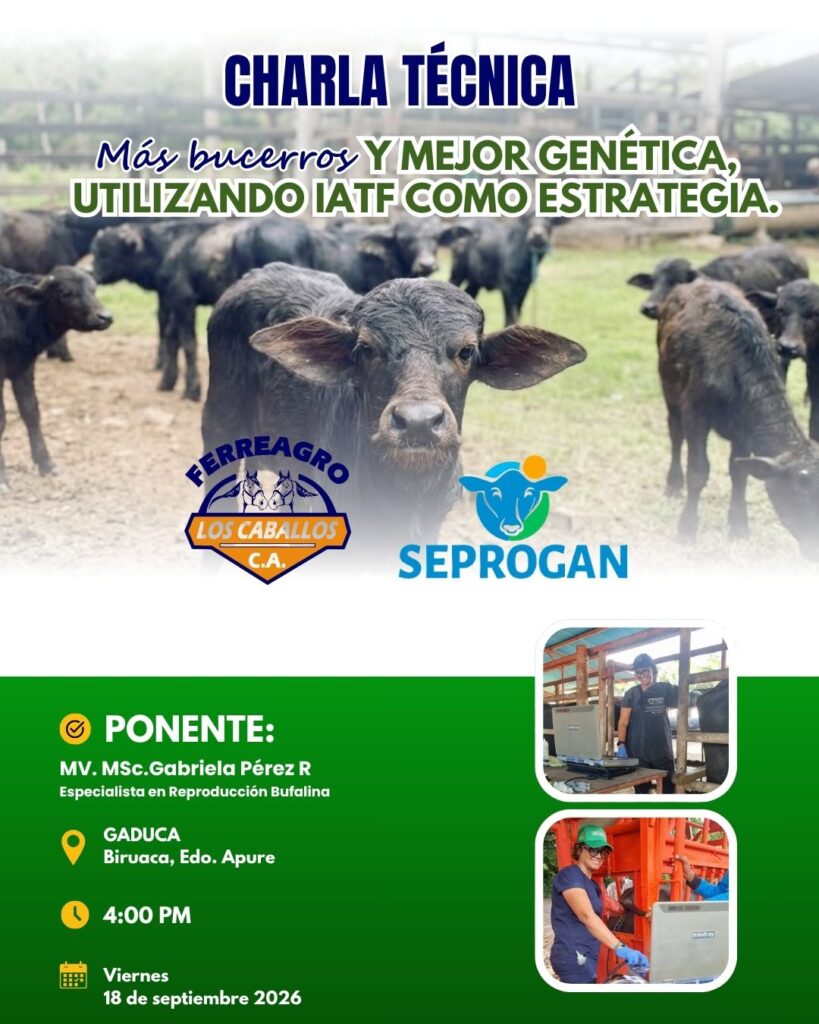 charla apure